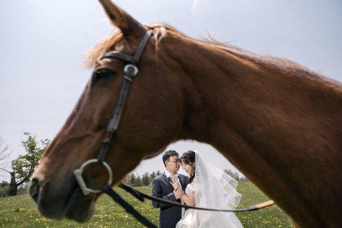 mobile - carousel-hero-element image-14